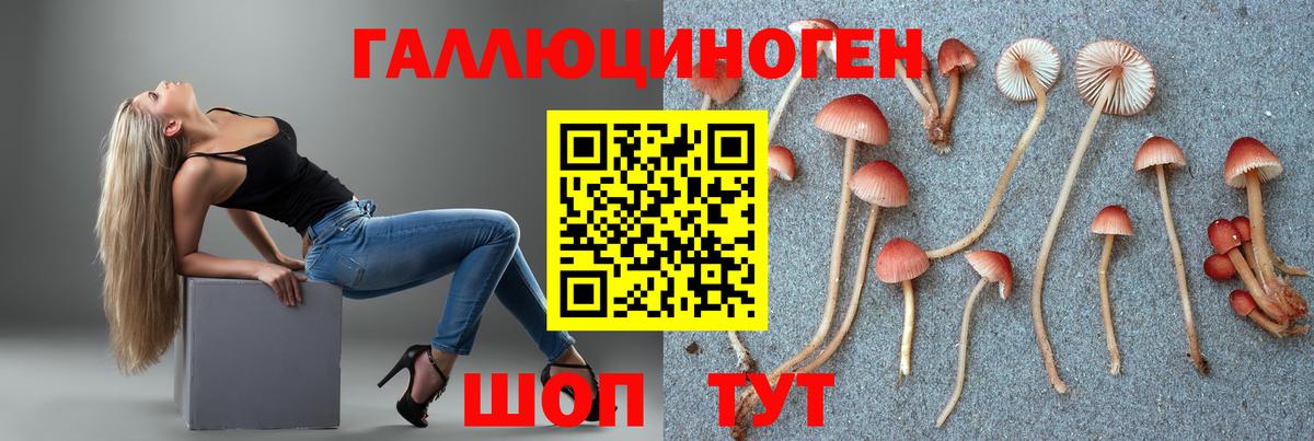 Галлюциногенные грибы Cubensis Наро-Фоминск